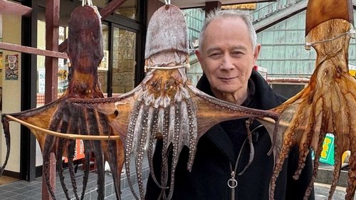 Background image for Octopuses