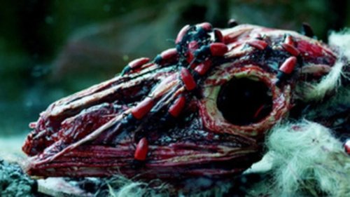 Background image for Part Seven