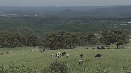 Background image for Episode 23