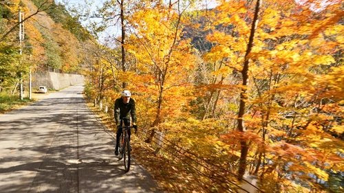 Background image for Nagano - Life in the Mountains