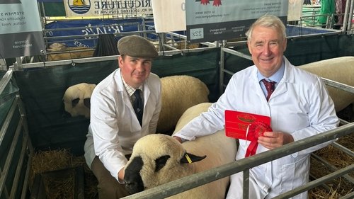 Background image for The Great Yorkshire Show