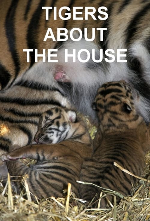 Show cover for Tigers About the House