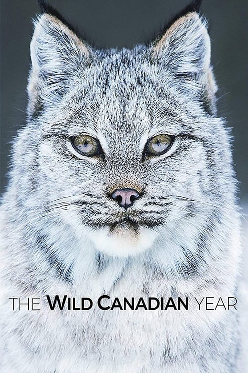 Show cover for The Wild Canadian Year