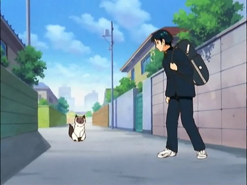 Background image for Karupin's Adventure