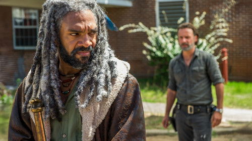 Background image for Rock in the Road