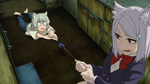 We're Off to a Secret Place, Nya