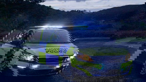 Background image for A Rescue Network