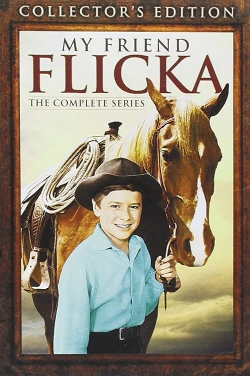 Show cover for My Friend Flicka