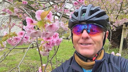 Background image for Enjoying Matsumae Cherry Blossoms in Full Bloom by Bicycle