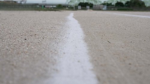 Background image for Eggshell Field Chalk