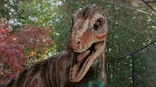 Background image for Free As A Dino