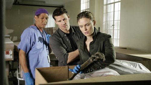 Background image for The Man in the Morgue