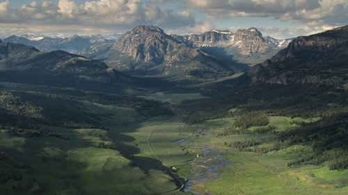 Background image for Yellowstone