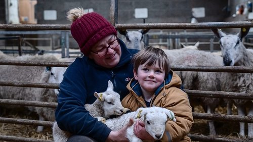Background image for Lambs, Crops and Chicken Pox