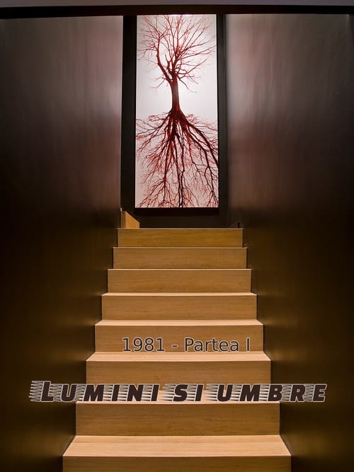 Show cover for Lumini și umbre