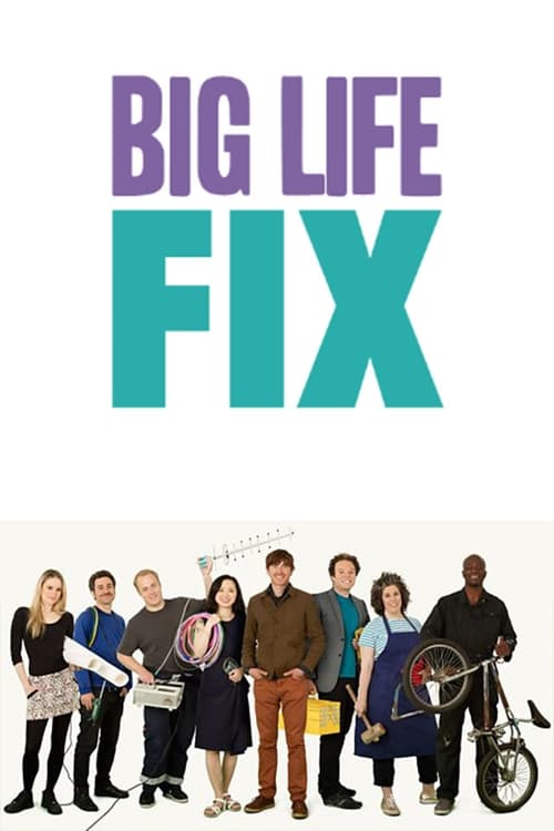 Show cover for The Big Life Fix