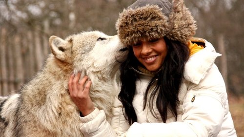 Background image for Humans and Dogs