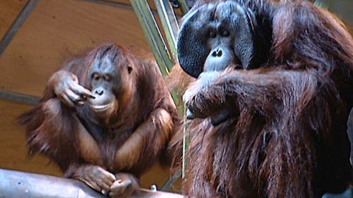 Background image for Episode 2