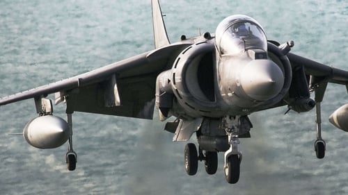 Harrier