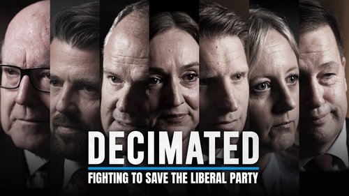 Background image for Decimated