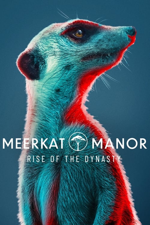 Show cover for Meerkat Manor: Rise of the Dynasty