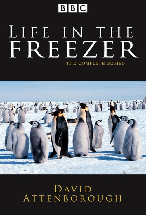 Show cover for Life in the Freezer