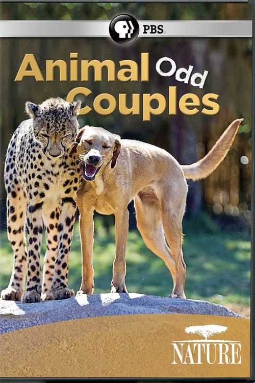 Show cover for Animal Odd Couples