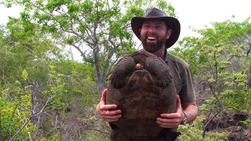 Background image for The Galapagos Giant