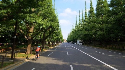Background image for A Deeper Side to Tokyo