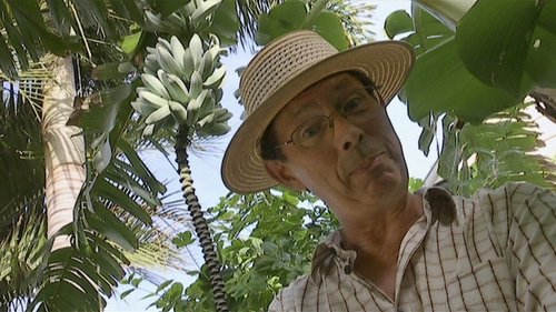 Background image for Episode 22: Pocket City Farm, Choosing Cuttings & Kokedamas
