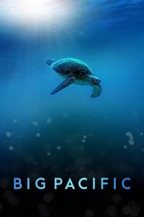 Show cover for Big Pacific