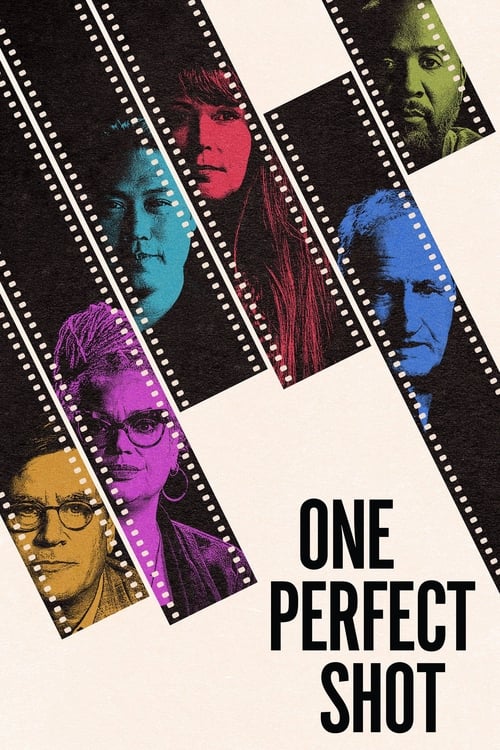 Show cover for One Perfect Shot