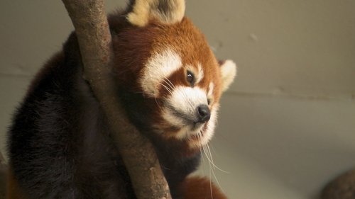 Background image for Episode 5