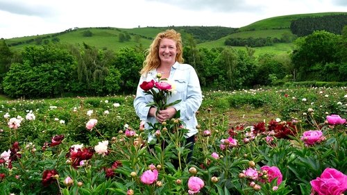 Background image for Wildlife Gardens and Peonies