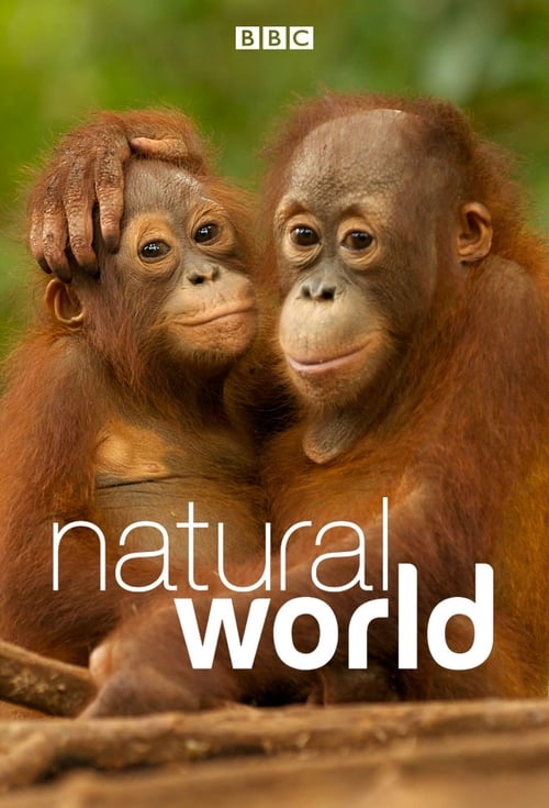 Show cover for Natural World