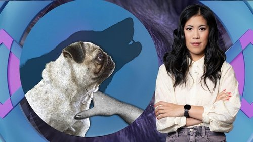 Background image for Bred to ruin: From animal cruelty to famine