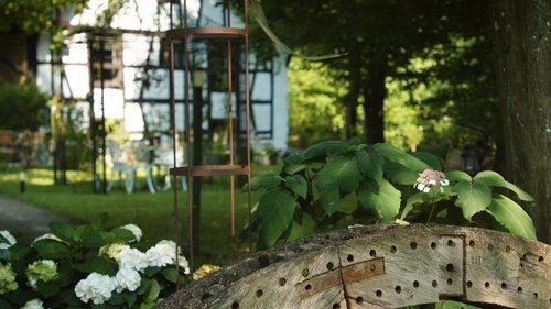 Background image for The mill garden