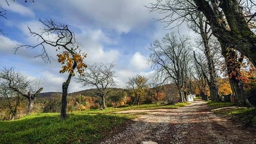 Background image for The Countryside