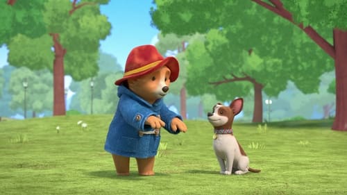 Paddington Meets Lucky