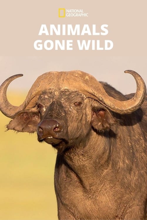 Show cover for Animals Gone Wild