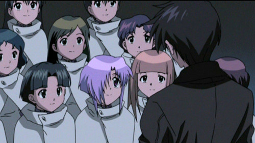 Denizens of Paradise