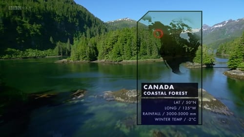 Canada's Coastal Forests