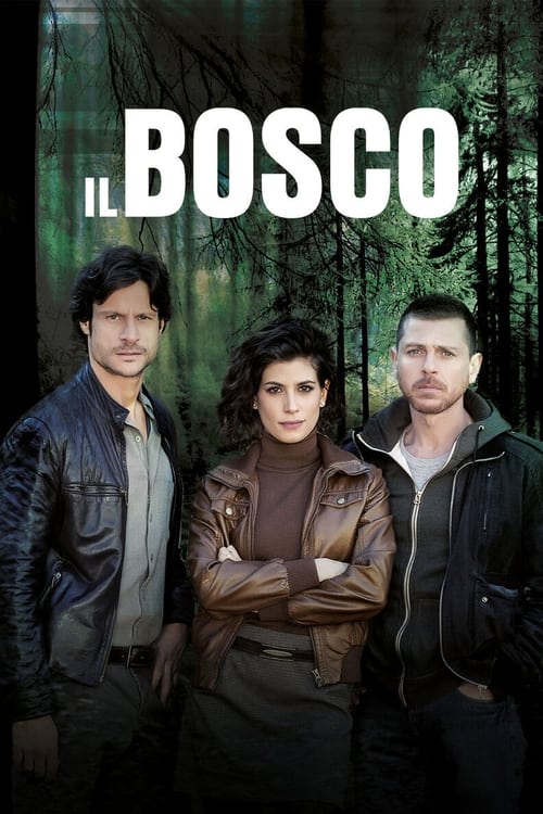 Show cover for Il Bosco