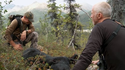 The Greatest Draw: Alaska Dall Sheep (2)