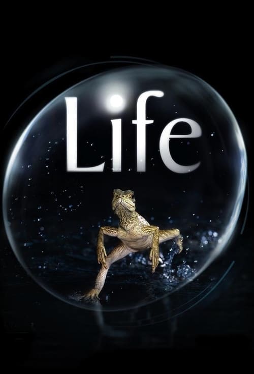 Show cover for Life