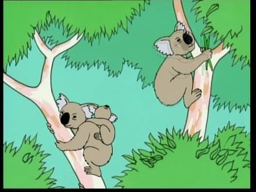 Australia - Koala