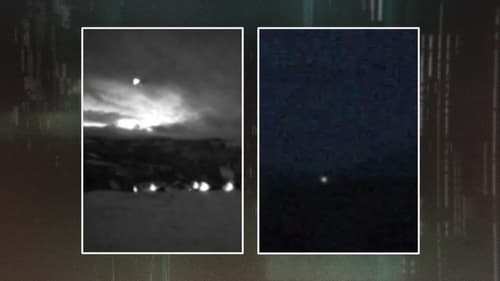 Modern Day Dinosaur Sighting, Mysterious Lights Above Norway and Girl Punches Down Tree