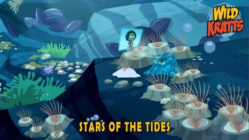 Stars of the Tides