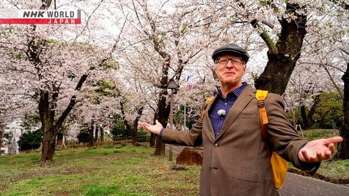 Background image for Oji - Charmed by Foxes and Cherry Blossoms
