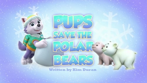 Pups Save the Polar Bears